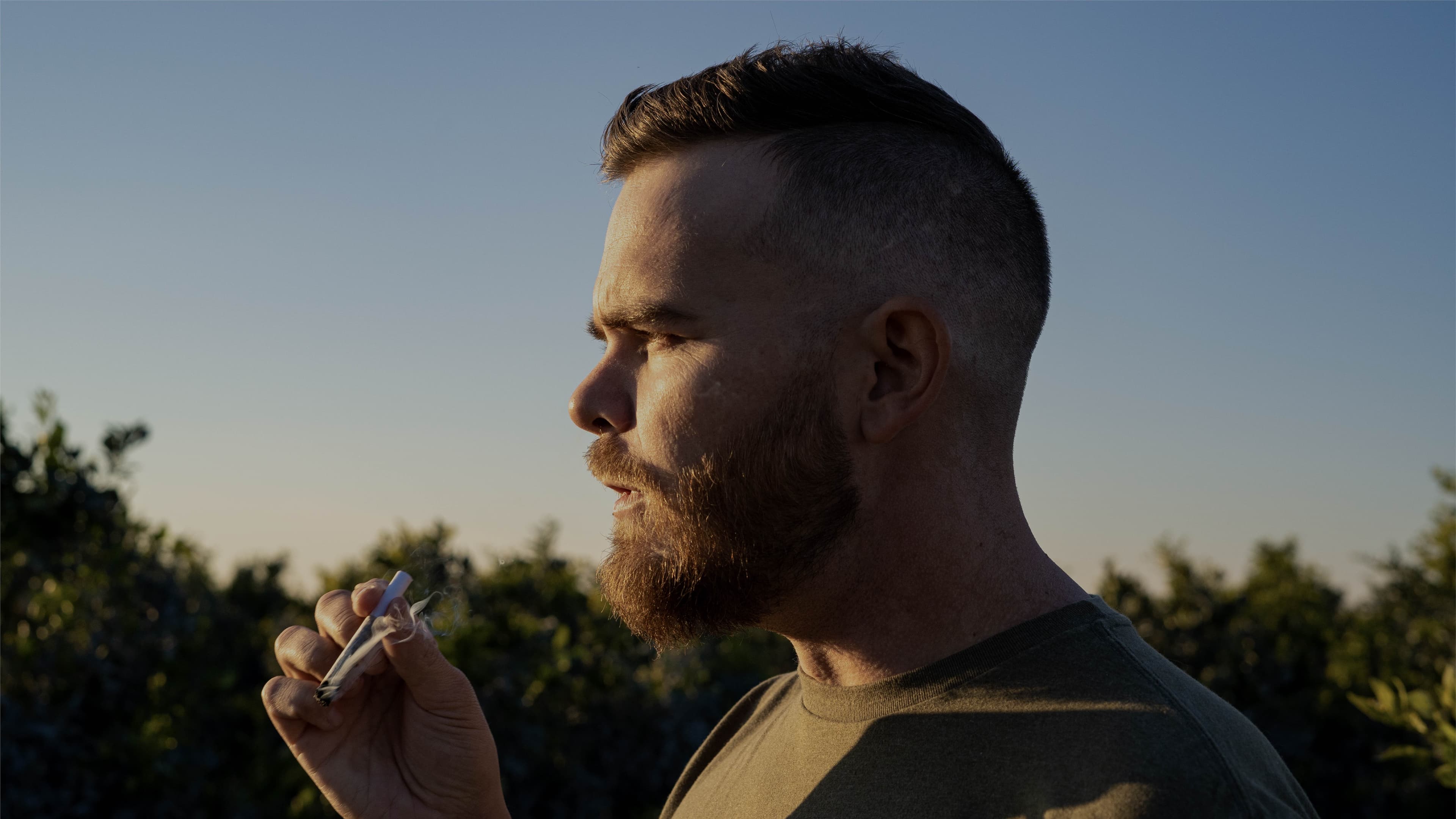 section 1 project background